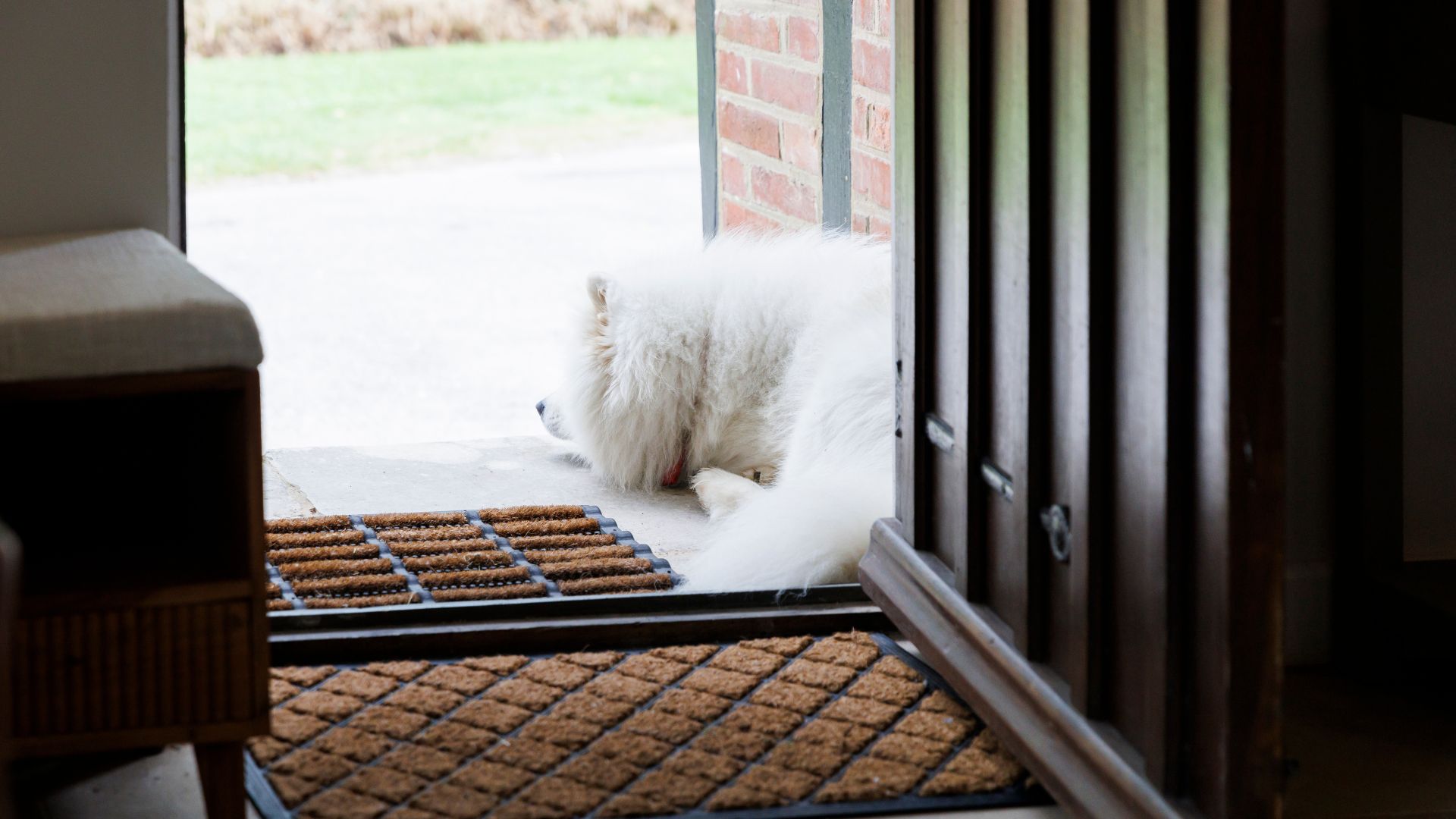 Dog friendly holiday cottages in Sussex, featuring Milo the dog sleeping on the doormat of Marble Bridge Farm